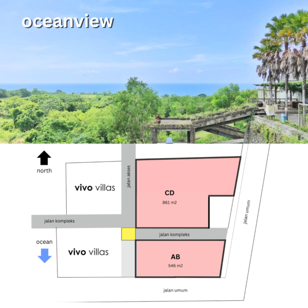 Tanah Vivo Club