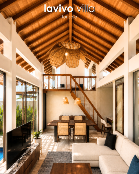 Lavivo Villa